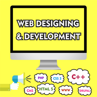Web Designing and Development